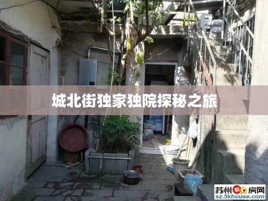 鸟吏鳖官 第2页