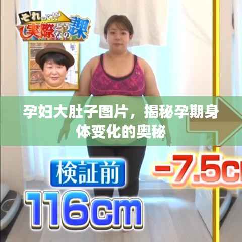 联系我们 第92页
