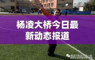 杨凌大桥今日最新动态报道