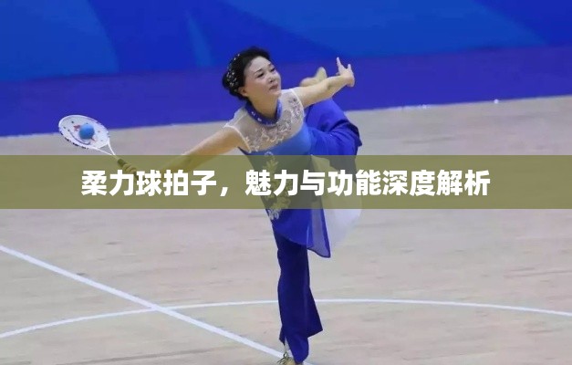 柔力球拍子,魅力与功能深度解析