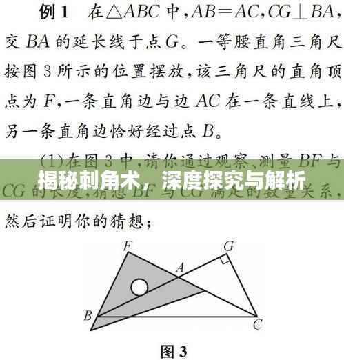 鸷鸟不群