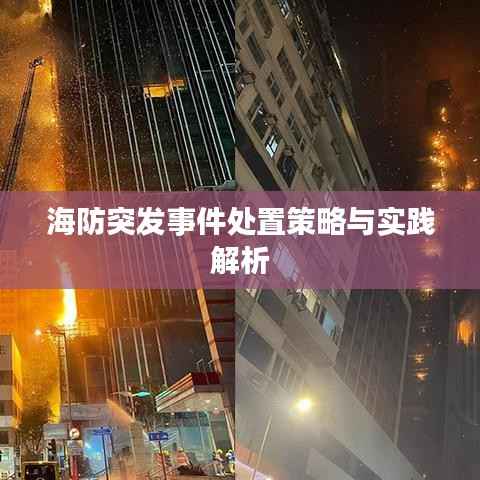 海防突发事件处置策略与实践解析