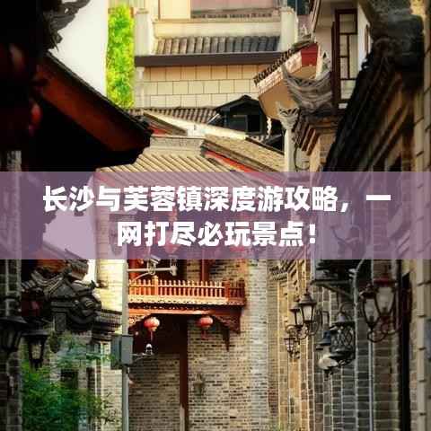 营销网络 第67页