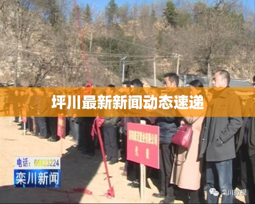 营销网络 第63页