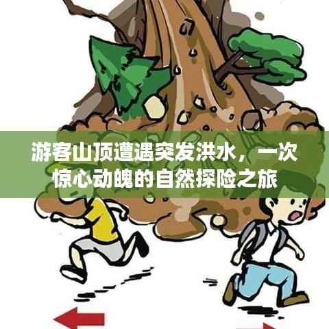 游客山顶遭遇突发洪水，一次惊心动魄的自然探险之旅