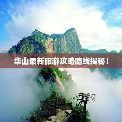 华山最新旅游攻略路线揭秘！