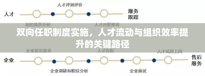 双向任职制度实施，人才流动与组织效率提升的关键路径